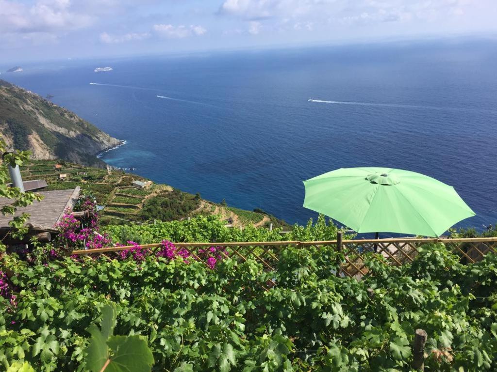 Villa Refuge Uwabio Organic Vineyard Cinqueterre Riomaggiore Exterior foto