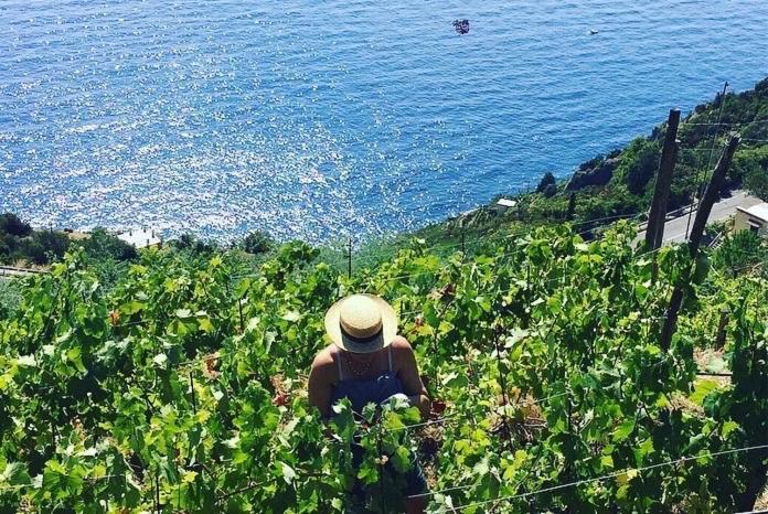 Villa Refuge Uwabio Organic Vineyard Cinqueterre Riomaggiore Exterior foto