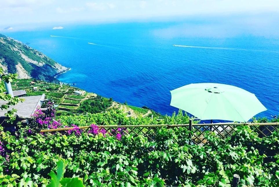Villa Refuge Uwabio Organic Vineyard Cinqueterre Riomaggiore Exterior foto