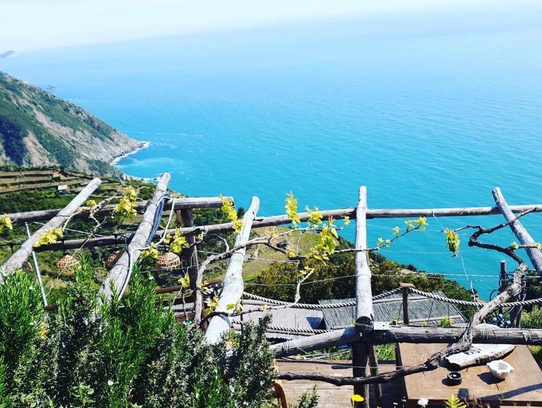 Villa Refuge Uwabio Organic Vineyard Cinqueterre Riomaggiore Exterior foto