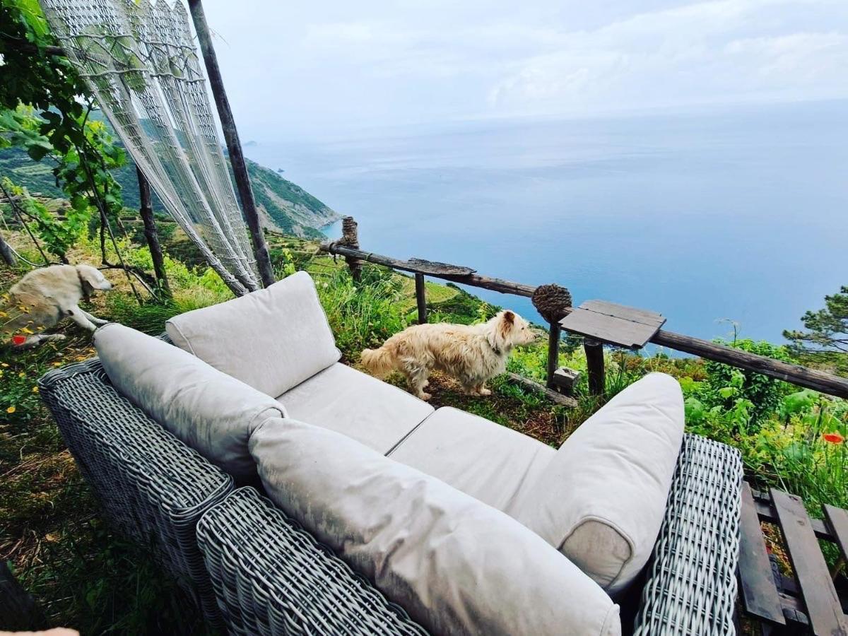 Villa Refuge Uwabio Organic Vineyard Cinqueterre Riomaggiore Exterior foto